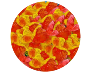 JUICY JELLY 3D GOLDFISH GUMMY CANDY 1KG BAG