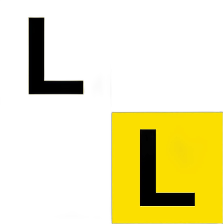 L Plates Magnetic X 24