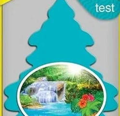 24PK Little Tree Car Air Freshener (Rain Forest Mist)